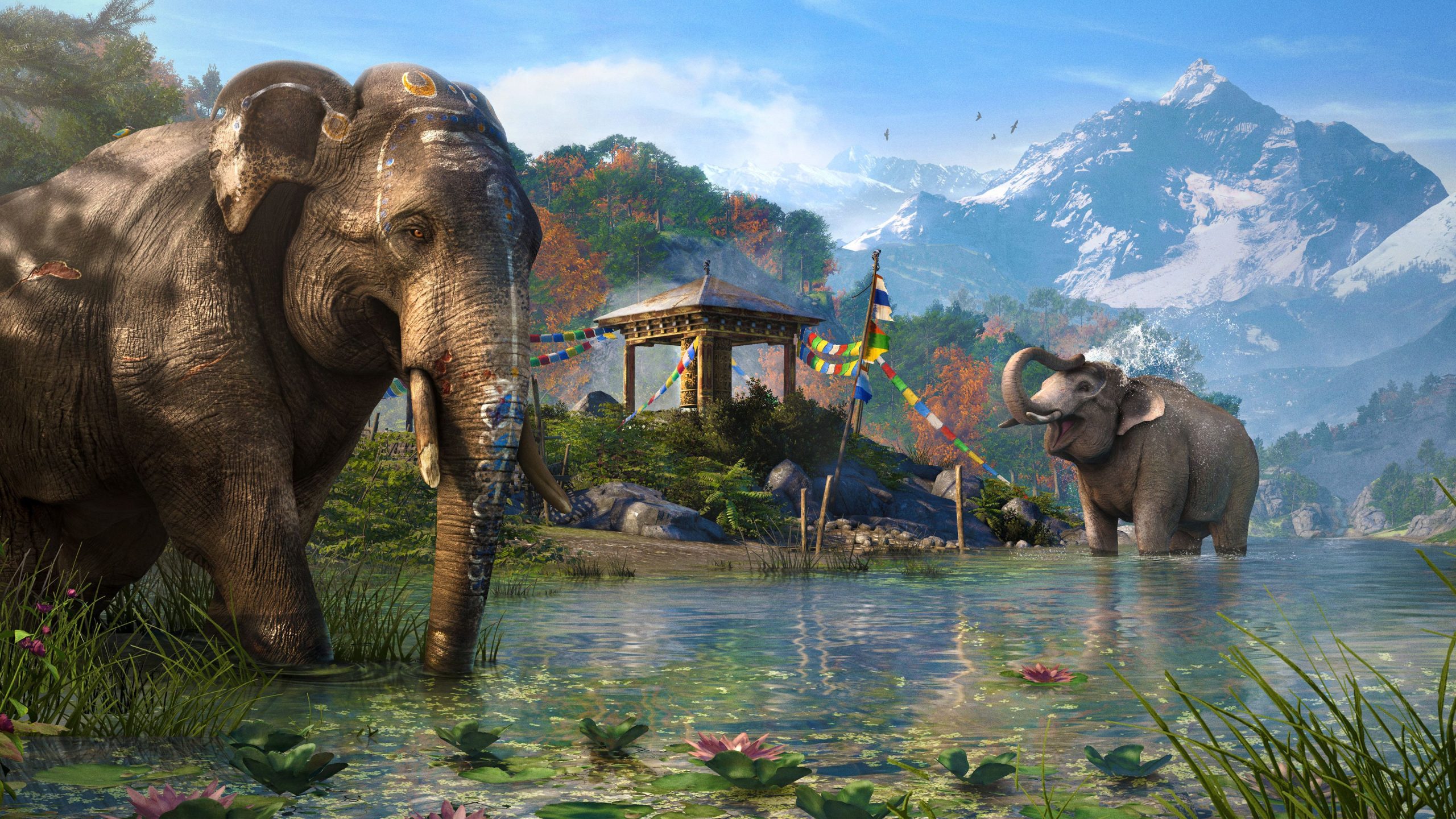 contact us at gaming elephant