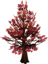 rs3 maple tree