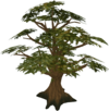 rs3 oak tree