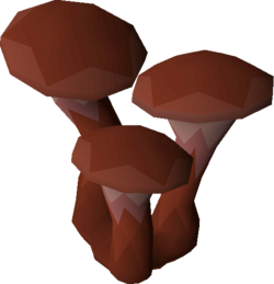 Sulliuscep Sulliuscep tree osrs