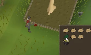 osrs-1.5-tick-woodcuttiing osrs 1.5 tick woodcuttiing