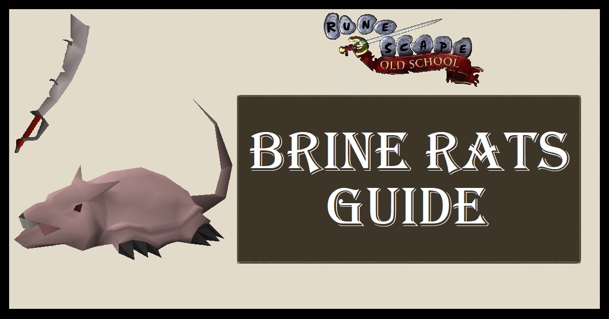 Brine Rats Guide OSRS