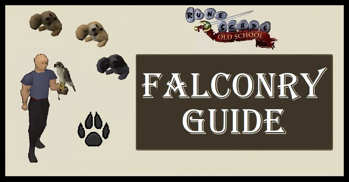 OSRS Falconry Guide