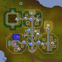 OSRS Farming Guild Tree Patch