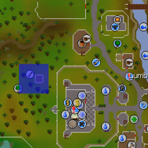 OSRS Lumbridge tree patch