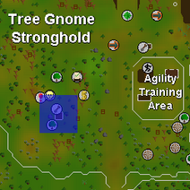 OSRS Tree Gnome Stronghold tree patch