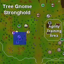 OSRS-Tree-Gnome-Stronghold-tree-patch OSRS Tree Gnome Stronghold tree patch